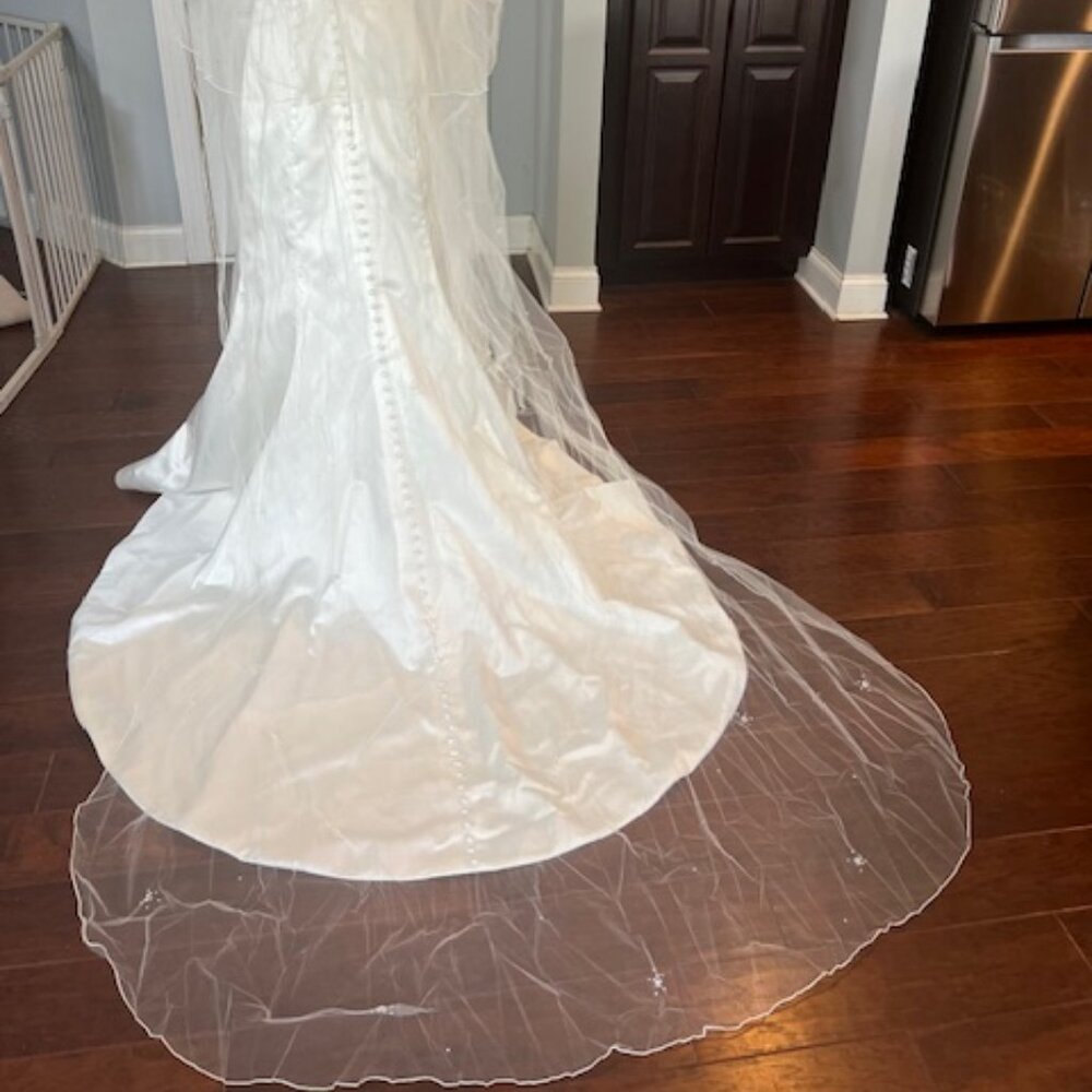 NWT Ivory Cathedral Veil w/ rhinestones